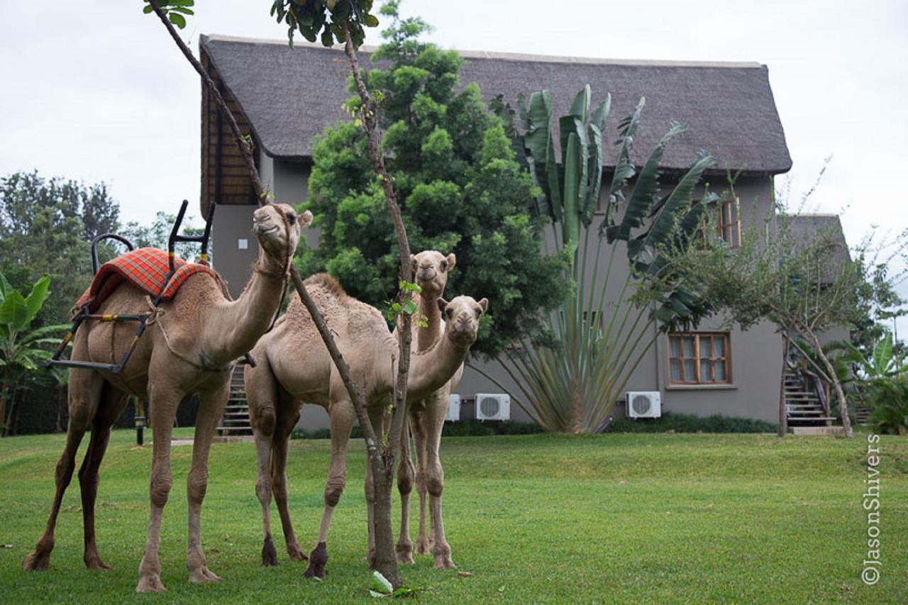 Weru Weru River Lodge Dış mekan fotoğraf